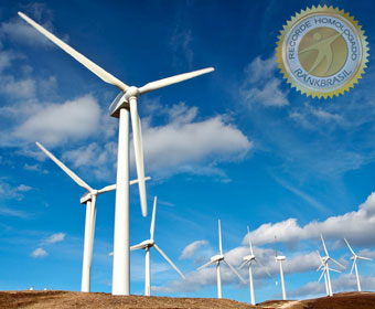 Renova Energia inaugura o maior complexo eólico do Brasil