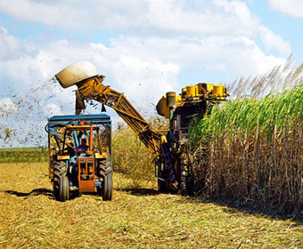História do RankBrasil – O Livro dos Recordes Brasileiros