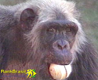 POLÍTICA DE PRIVACIDADE