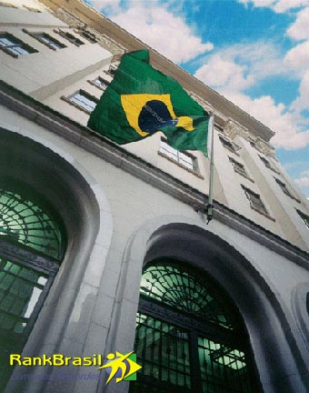 Projeto prevê soltura de mais de dois milhões de tartarugas em RO