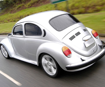 CURIOSIDADE – Tartarugas são lentas porque não precisam ser rápidas