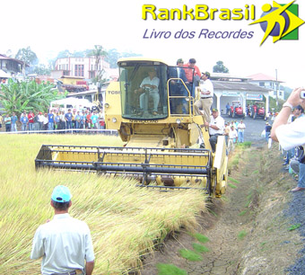 Maior produção de arroz irrigado por hectare
