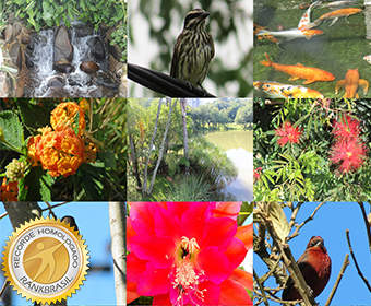 País com maior biodiversidade do mundo