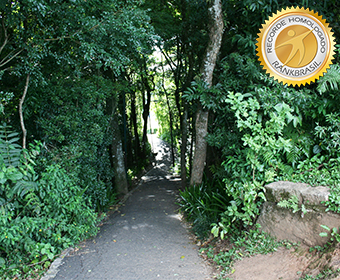 Maior campanha online pela sobrevivência das florestas