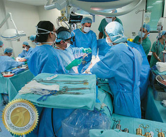 Americano encontra inseto considerado o maior do mundo