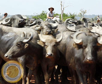 Maior concentração de recordes no mesmo espaço