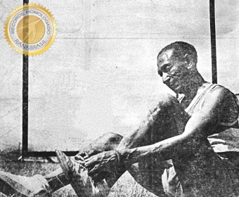 Telefone social vai custar R$ 13,31 e beneficiar 22 milhões de famílias