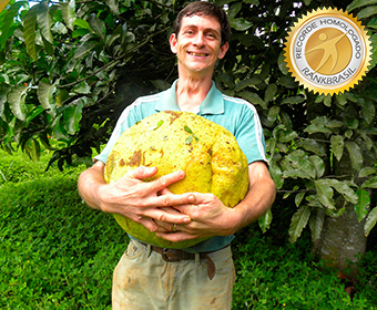 Maior coleção de plantas frutíferas