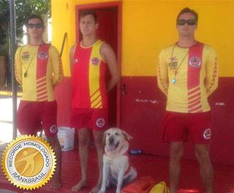 Primeiro cão guarda-vidas do Brasil