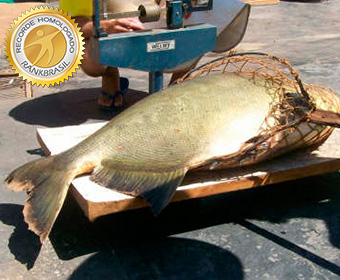 Maior peixe capturado em pesque-pague
