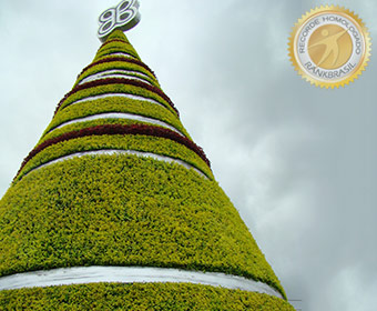 Maior árvore de Natal em mosaicultura