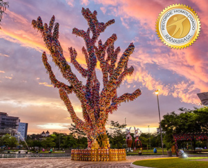 Maior Árvore Osterbaum