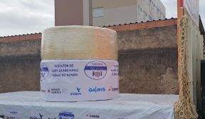 Maior queijo minas padrão