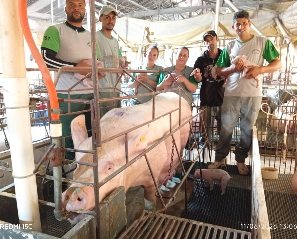 Maior Leitegada do Brasil