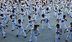 Campina Grande vai realizar roda de capoeira gigante nesta quinta