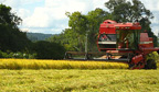 Brasil tem o melhor desempenho nas exportações do agronegócio