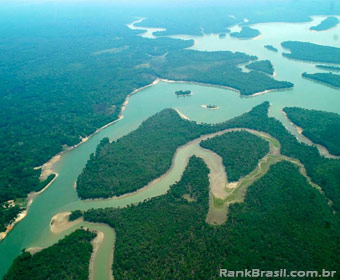 Brasil detém a segunda maior área florestal do planeta