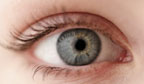 Glaucoma representa a maior causa de cegueira irreversível do mundo