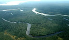 Amazônia tem a menor taxa de desmatamento da história