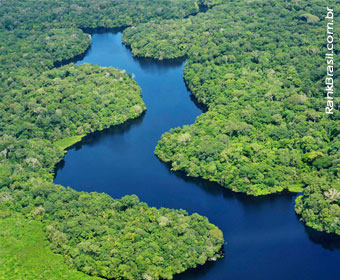Dia da Amazônia sugere consciência sobre preservação ambiental
